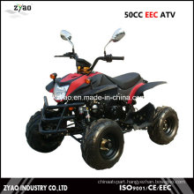 50cc EEC Sports ATV for Kids with High Quality Hot Sale EEC Quad ATV EEC Approval